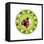 Round Lady Bug-Maria Trad-Framed Stretched Canvas