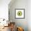 Round Lady Bug-Maria Trad-Framed Giclee Print displayed on a wall