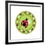 Round Lady Bug-Maria Trad-Framed Giclee Print