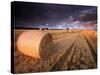 Round Straw Bales and Stormy Morning Sky, Near Bradworthy, Devon, Uk. September 2008-Ross Hoddinott-Stretched Canvas