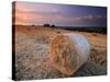 Round Straw Bales and Stormy Morning Sky, Near Bradworthy, Devon, Uk. September 2008-Ross Hoddinott-Stretched Canvas