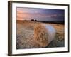 Round Straw Bales and Stormy Morning Sky, Near Bradworthy, Devon, Uk. September 2008-Ross Hoddinott-Framed Photographic Print