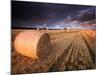 Round Straw Bales and Stormy Morning Sky, Near Bradworthy, Devon, Uk. September 2008-Ross Hoddinott-Mounted Photographic Print