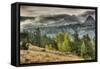 Round Top Landscape, Alpine County-Vincent James-Framed Stretched Canvas