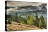 Round Top Landscape, Alpine County-Vincent James-Stretched Canvas