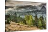 Round Top Landscape, Alpine County-Vincent James-Stretched Canvas