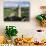 Round Tower at Rock of Cashel-Bo Zaunders-Photographic Print displayed on a wall