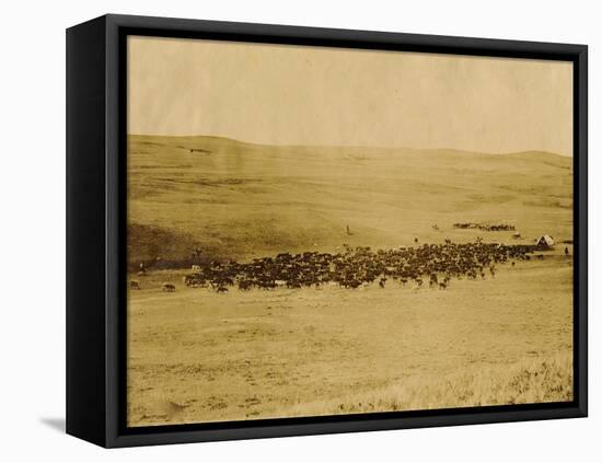 Round-Up On Range West Of Ft. Pierre 1903-09-P.H Kellogg-Framed Stretched Canvas