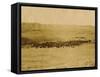 Round-Up On Range West Of Ft. Pierre 1903-09-P.H Kellogg-Framed Stretched Canvas
