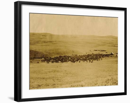 Round-Up On Range West Of Ft. Pierre 1903-09-P.H Kellogg-Framed Art Print