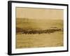 Round-Up On Range West Of Ft. Pierre 1903-09-P.H Kellogg-Framed Art Print