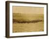 Round-Up On Range West Of Ft. Pierre 1903-09-P.H Kellogg-Framed Art Print