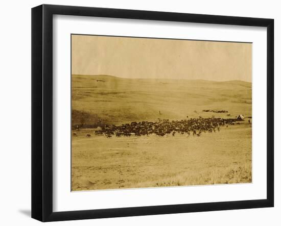 Round-Up On Range West Of Ft. Pierre 1903-09-P.H Kellogg-Framed Art Print