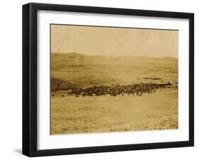 Round-Up On Range West Of Ft. Pierre 1903-09-P.H Kellogg-Framed Art Print