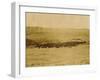 Round-Up On Range West Of Ft. Pierre 1903-09-P.H Kellogg-Framed Art Print