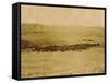 Round-Up On Range West Of Ft. Pierre 1903-09-P.H Kellogg-Framed Stretched Canvas