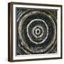 Roundabout Fury-Joshua Schicker-Framed Giclee Print