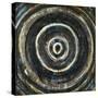 Roundabout Fury-Joshua Schicker-Stretched Canvas