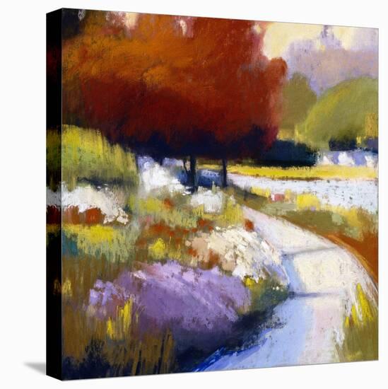 Roundabout-Lou Wall-Stretched Canvas