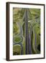 Roundabouts and Upper Harbour Motorway, Hobsonville, Auckland, North Island, New Zealand-David Wall-Framed Photographic Print