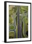 Roundabouts and Upper Harbour Motorway, Hobsonville, Auckland, North Island, New Zealand-David Wall-Framed Photographic Print