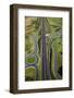 Roundabouts and Upper Harbour Motorway, Hobsonville, Auckland, North Island, New Zealand-David Wall-Framed Photographic Print