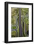 Roundabouts and Upper Harbour Motorway, Hobsonville, Auckland, North Island, New Zealand-David Wall-Framed Photographic Print