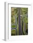 Roundabouts and Upper Harbour Motorway, Hobsonville, Auckland, North Island, New Zealand-David Wall-Framed Photographic Print