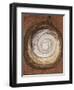 Rounded Bottle; Kurbis Flasche-Paul Klee-Framed Giclee Print