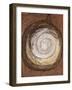 Rounded Bottle; Kurbis Flasche-Paul Klee-Framed Giclee Print