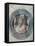 Roundel with Saint-Vincenzo Foppa-Framed Stretched Canvas