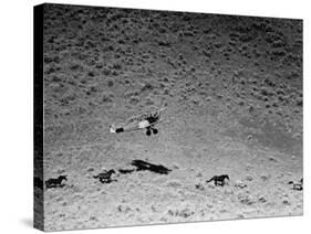 Rounding Up Wild Horses by Plane-Rex Hardy Jr.-Stretched Canvas