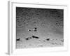 Rounding Up Wild Horses by Plane-Rex Hardy Jr.-Framed Premium Photographic Print