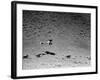 Rounding Up Wild Horses by Plane-Rex Hardy Jr.-Framed Premium Photographic Print