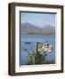 Roundstone Harbour, Connemara, Co, Galway, Ireland-Doug Pearson-Framed Photographic Print