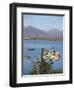 Roundstone Harbour, Connemara, Co, Galway, Ireland-Doug Pearson-Framed Photographic Print