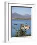 Roundstone Harbour, Connemara, Co, Galway, Ireland-Doug Pearson-Framed Photographic Print