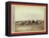 Roundup Scenes on Belle Fouche [Sic] in 1887-John C. H. Grabill-Framed Stretched Canvas