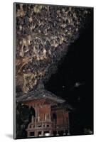 Rousettus Fruit Bats at Goa Lawah Bat Cave Temple, Bali. Indonesia-null-Mounted Photographic Print