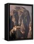 Roussanou Monastery, Meteora, Greece-Walter Bibikow-Framed Stretched Canvas