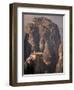 Roussanou Monastery, Meteora, Greece-Walter Bibikow-Framed Photographic Print