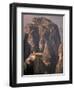 Roussanou Monastery, Meteora, Greece-Walter Bibikow-Framed Photographic Print