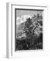 Rousseau Home Ermitage-null-Framed Art Print