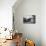 Rousseau Home Moutiers-null-Mounted Art Print displayed on a wall