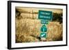 Route 1 Sign, California-Andrew Bayda-Framed Photographic Print