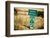 Route 1 Sign, California-Andrew Bayda-Framed Photographic Print