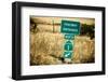 Route 1 Sign, California-Andrew Bayda-Framed Photographic Print