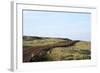 Route 612, Patreksfjšrdur, Westfjords, West Iceland-Julia Wellner-Framed Photographic Print