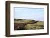 Route 612, Patreksfjšrdur, Westfjords, West Iceland-Julia Wellner-Framed Photographic Print