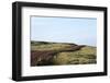 Route 612, Patreksfjšrdur, Westfjords, West Iceland-Julia Wellner-Framed Photographic Print